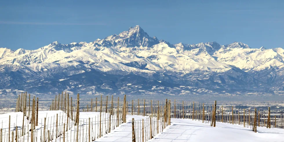 Il Monviso innevato sopra la pianura - foto Elio Pallard CC BY-SA 4.0